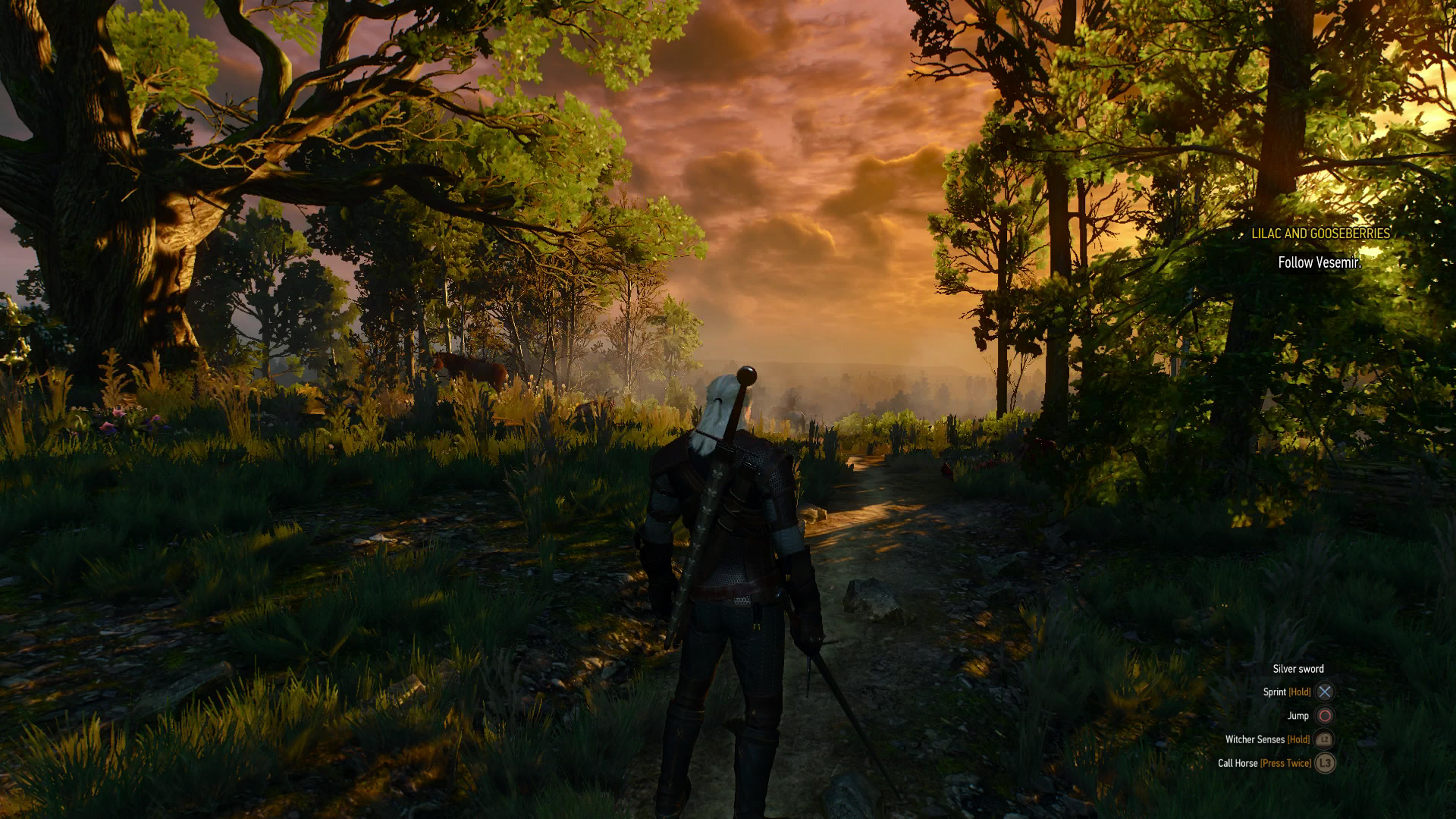 The witcher 3 патч для ps5 фото 91