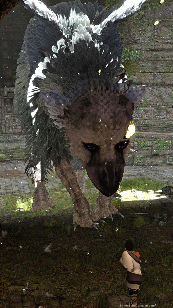 The last guardian стим фото 117